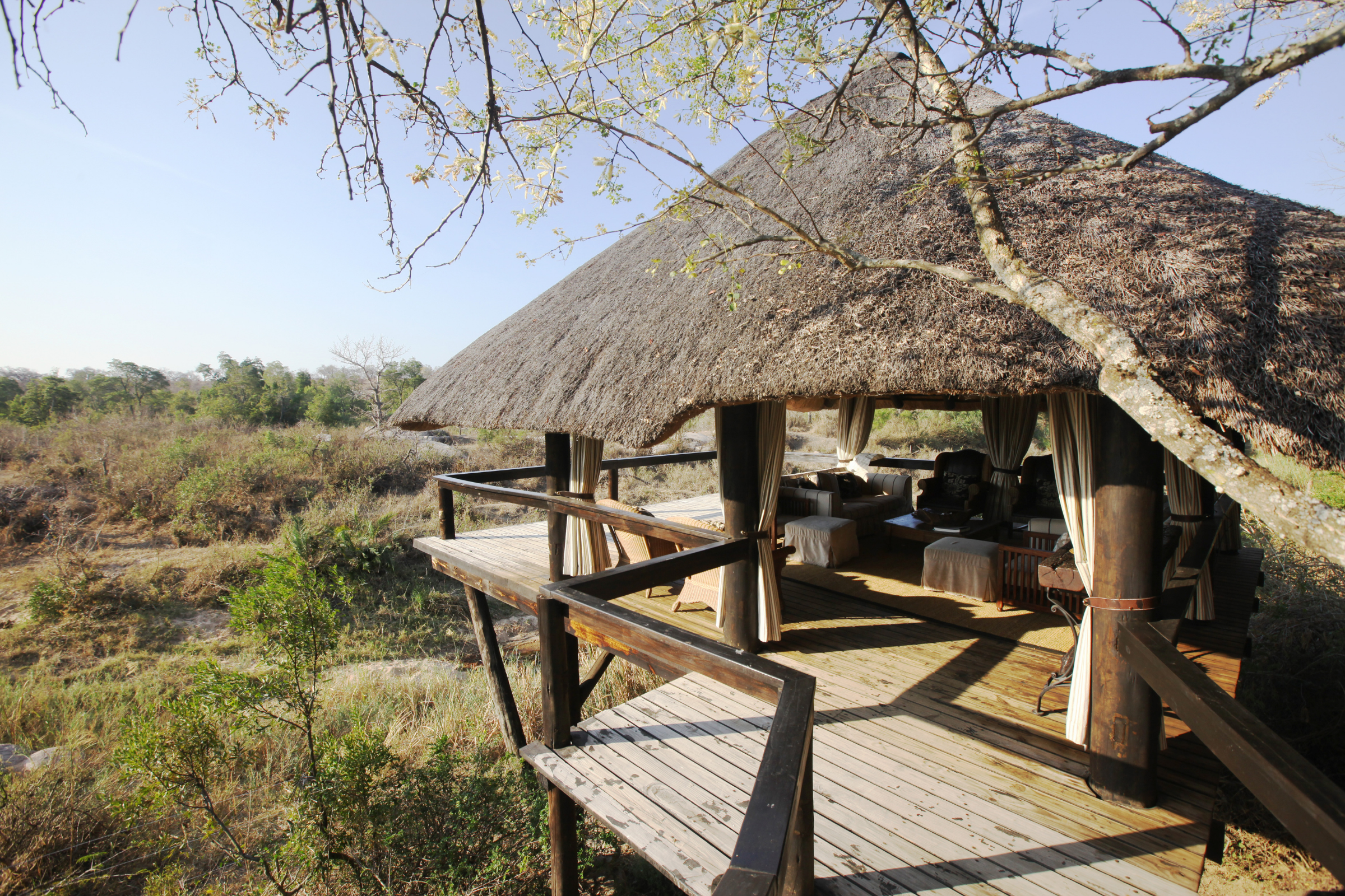 makalali private game lodge (3).webp